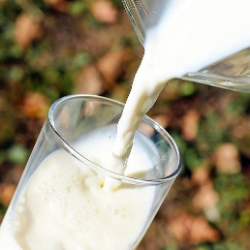 Pangan Bergizi dan Terjangkau untuk Turunkan Stunting