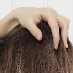 Meski Kecil, Jenis Makanan Ini Ampuh Mengatasi Rambut Rontok