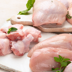 Mengenal Ayam Probiotik dan Kandungan Gizinya