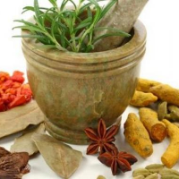 Mengenal Fitofarmaka, Bukan “Jamu” Biasa