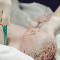 Mengenal Tahnik, Sunnah Nabi Muhammad pada Bayi Baru Lahir