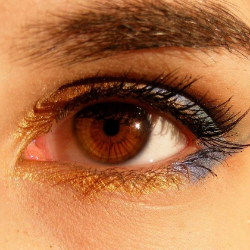 Amankah Menggunakan Eyeliner di Bagian Dalam Garis Bulu Mata?