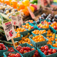 Menu Si Kecil Kurang Serat? Ini Tipsnya