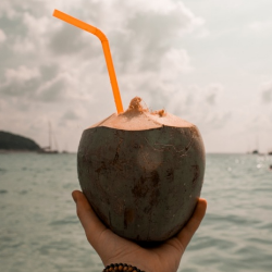 Bolehkah Minum Air Kelapa saat Hamil?