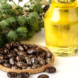 Bisakah Mengonsumsi Minyak Jarak untuk Merangsang Kontraksi?