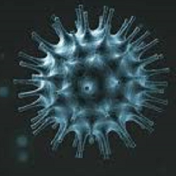 Mitos dan Fakta Coronavirus