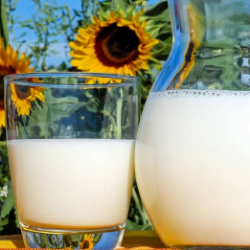 Bukti Ilmiah Mematahkan 5 Mitos Seputar Susu!