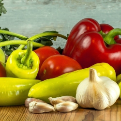 Penderita TBC Wajib Penuhi Nutrisi Ini!