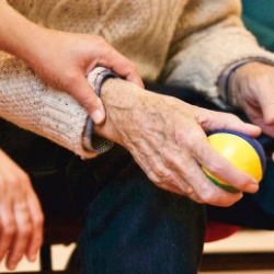 Nyeri Sendi Berlanjut Pasca Chikungunya, Apa Penyebabnya?