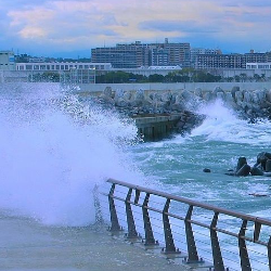Panduan Evakuasi untuk Mengantisipasi Gelombang Tinggi