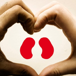 Penyakit Ginjal Kronis, Kuras Dana BPJS