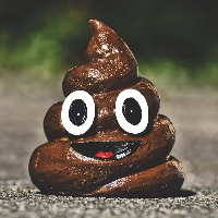 Penyebab Feses Berwarna Hitam, Apakah Tanda Bahaya?