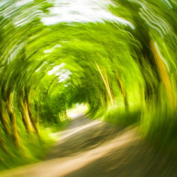 Sering Limbung? Kemunginan Masalah Ada di Telinga!