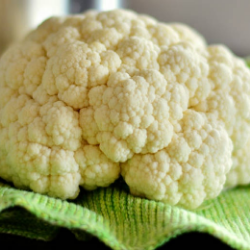 Waduh Punya Kutil kelamin, Harus Berobat ke Mana?