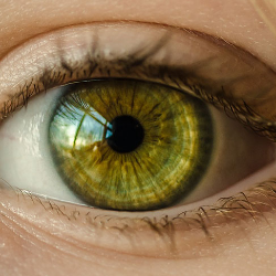 Mata Berair? Ini Penyebab dan Cara Mengatasinya!