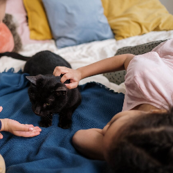 Pertolongan Pertama di Rumah saat si Kecil Dicakar Kucing