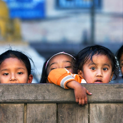 Kawal Program Makanan Tambahan dari Protein Hewani untuk Cegah Generasi Stunting