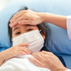 Program Vaksin dapat Tekan Biaya Penanganan DBD  di Negara Endemik