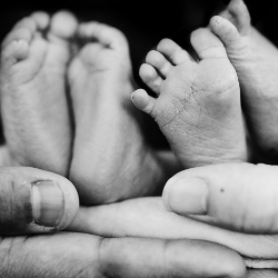 Promil Anak Kembar? Sangat Bisa Mums!