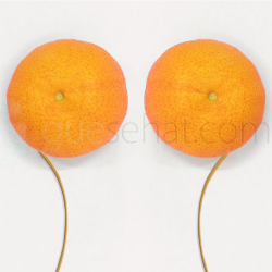 8 Perubahan pada Puting Payudara Selama Menyusui