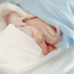 Mums, Yuk Kenali Refleks Rooting pada Bayi