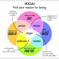 Resolusi Kerja di Tahun 2019, Temukan Ikigaimu!