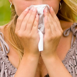 Rhinitis Alergi: Gejala, Pengertian, Diagnosis, dan Pengobatannya