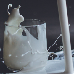 Memilih Jenis Susu yang Cocok untuk Anak 3-4 tahun