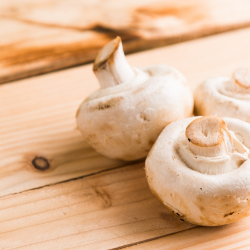 Ingin Menjadi Vegetarian? Inilah 7 Produk Nabati Pengganti Daging!