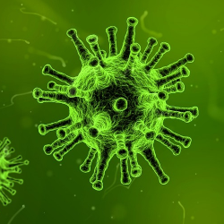 Selain Kanker Serviks, HPV Menyebabkan 5 Jenis Kanker Lain