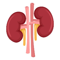 Solitary Kidney, saat Seseorang Harus Hidup dengan Satu Ginjal