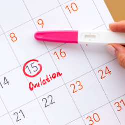 Jangan Terlewat, Ini 7 Tanda Masa Subur