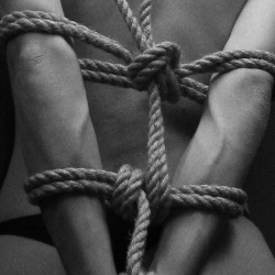 Shibari, Teknik Mengikat Erotis dalam Bercinta