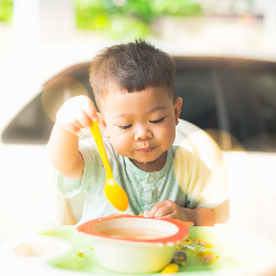 Telur Pasti Bikin Bayi Alergi? Mitos!