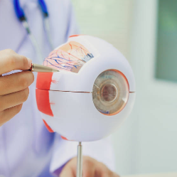 Skrining Retinopati Diabetik  Berbasis AI Sasar 80% Penderita Diabetes