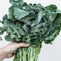 4 Sayuran Pahit Ini Ampuh Kendalikan Gula Darah!