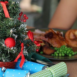 Tips Aman Mengonsumsi Hidangan Natal untuk Penderita Diabetes