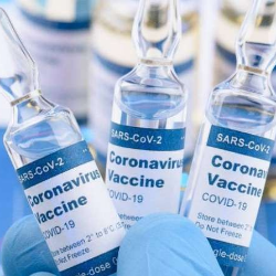 Fakta tentan Vaksin Anti Rabies - GueSehat.com