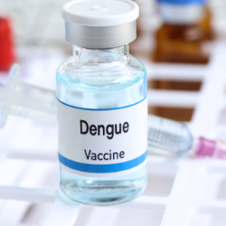Vaksin, Cara Efektif Cegah DBD sebagai Penyakit Arbovirosis Global