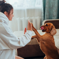 Lindungi Keluarga dari Rabies, Jangan Lupa Divaksin ya Anabulnya!
