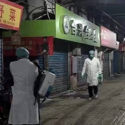 Coronavirus Penyebab Wabah Pneumonia di Wuhan, Tidak Menular Antar Manusia