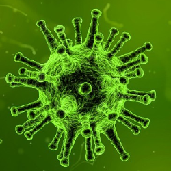 Wabah Mirip Flu Terkait Coronavirus yang Pernah Terjadi Sebelum Kasus Wuhan