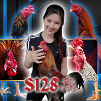 Flexi88 Togel Hk Togel Hongkong Hari Ini Toto Hk Angka Keluar Hk Data Togel Hk Flexi88 Togel Hk Togel Hongkong Hari Ini Toto Hk Angka Keluar Hk Data Togel Hk