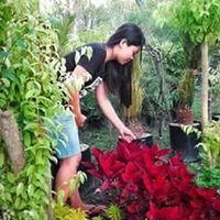 Nuning Harianty