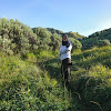 Al Arof