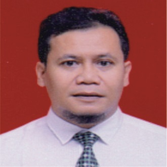 Novi Hamzah